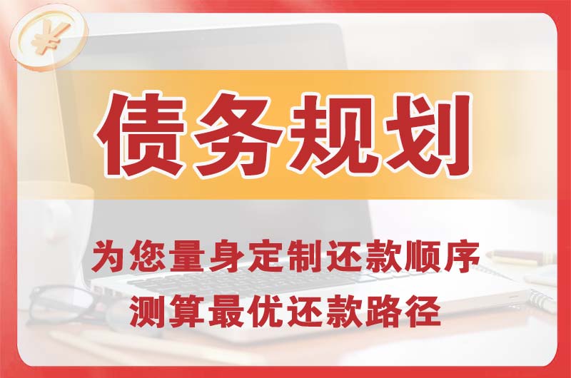 岳西债务规划